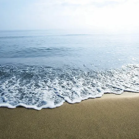 Belambra Clubs - Pineto Hotel 3*